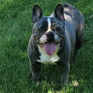 Meet your Posher, Randy